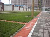 植草砖工程案例3