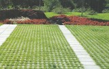 植草砖工程案例5