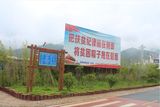 仿木树围工程案例3