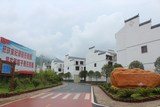 仿木树围工程案例4