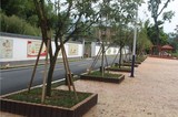 仿木树围工程案例5