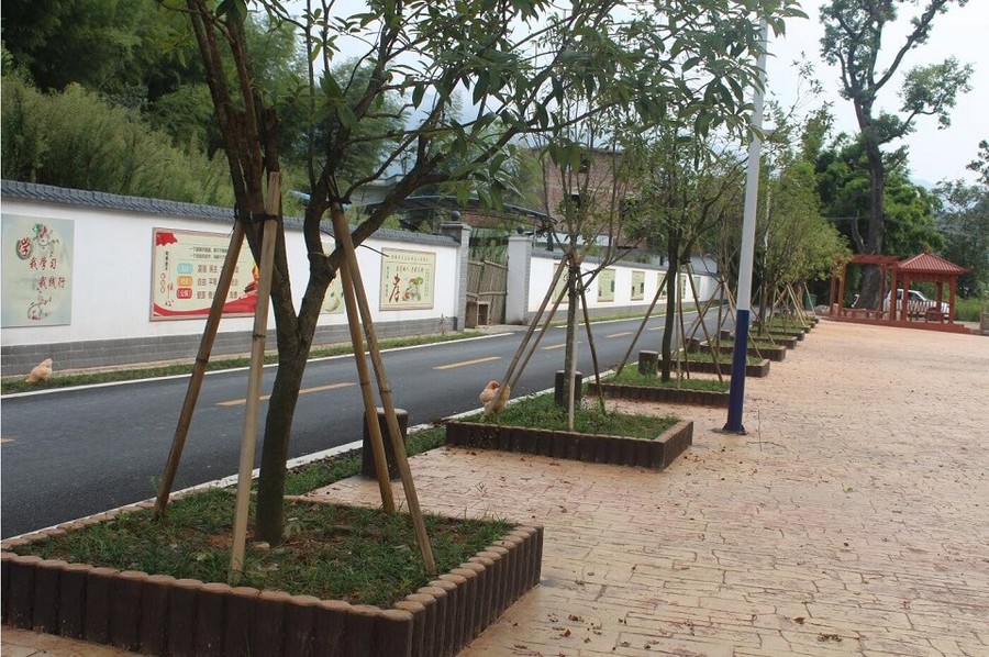 仿木树围工程案例